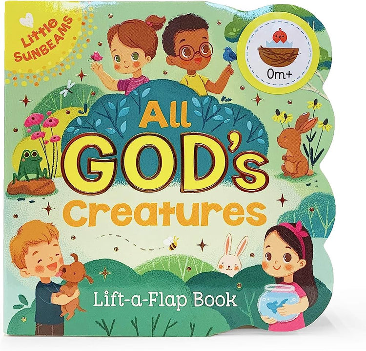 Lift A Flap Baby Books