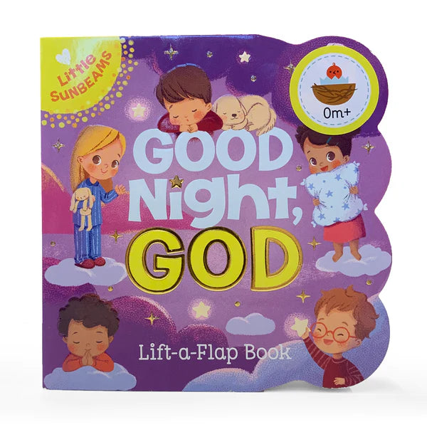 Lift A Flap Baby Books