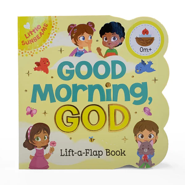 Lift A Flap Baby Books