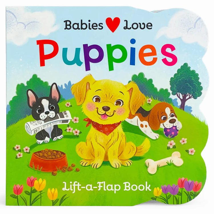 Lift A Flap Baby Books