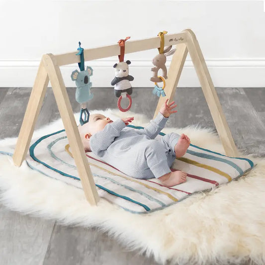 Bitzy Ritzy Wooden Activity Gym