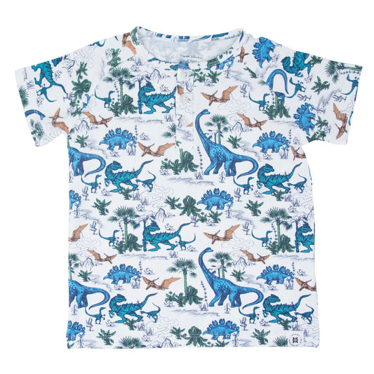 Dinoland Raglan