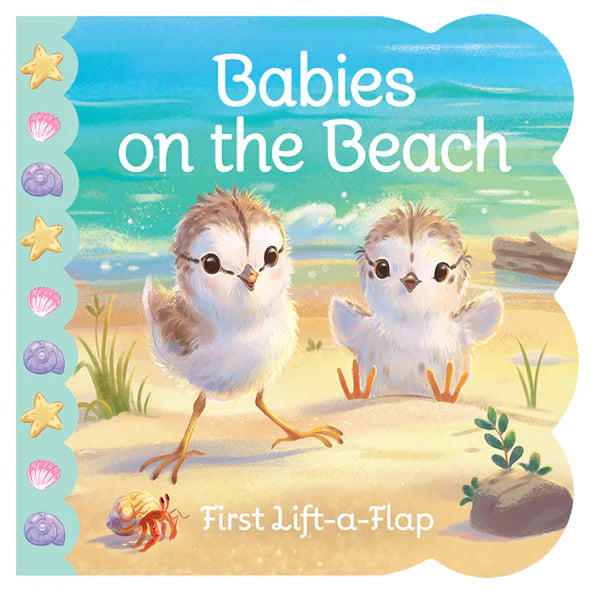 Lift A Flap Baby Books