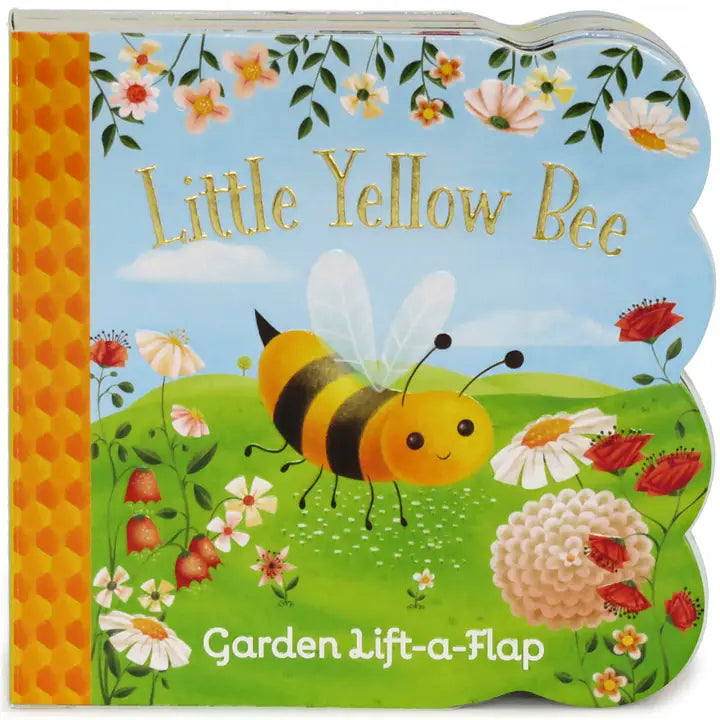 Lift A Flap Baby Books