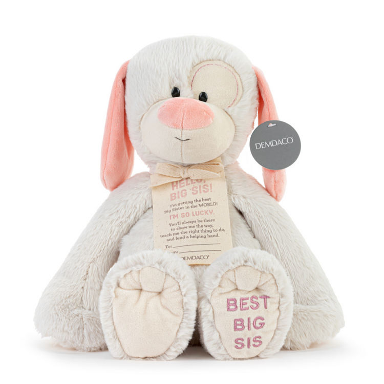 Best Big Sister/Brother Plush Dog 16”