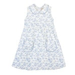 Blue Toile Dress