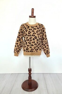 Cheetah Sweater